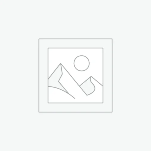 Disc Realms Logo Sticker